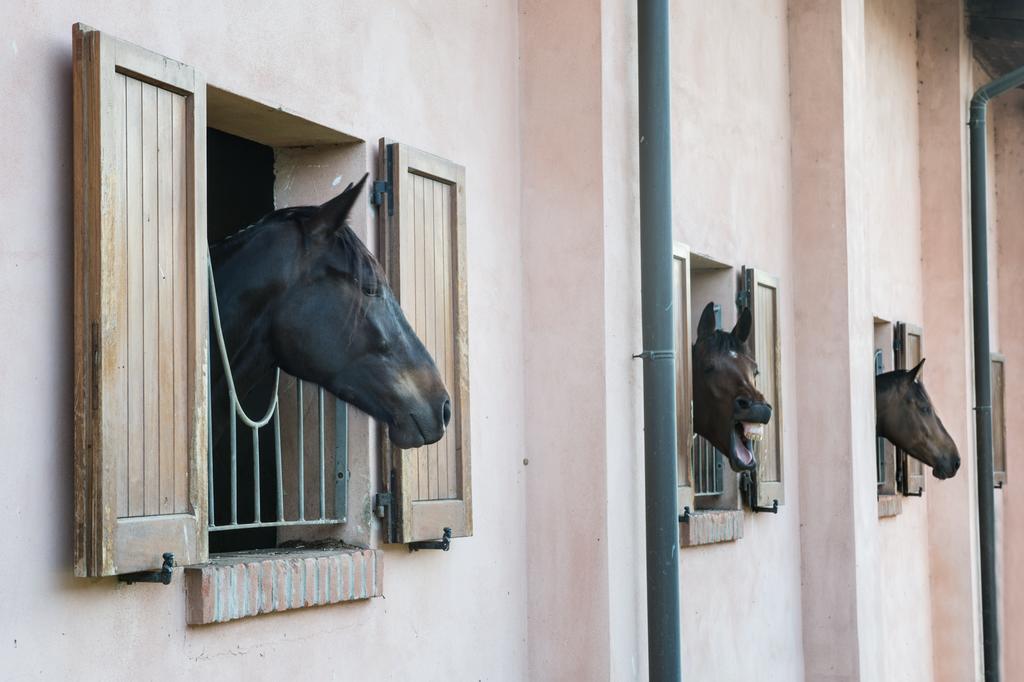 Arluno San Giacomo Horses & Agriturismo מראה חיצוני תמונה