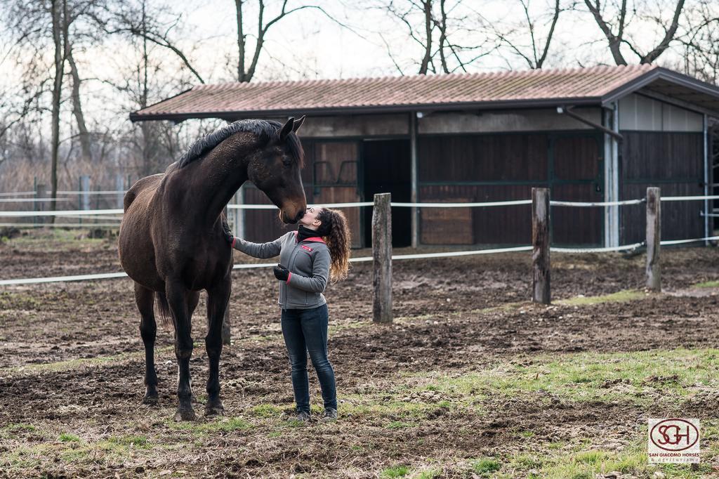 Arluno San Giacomo Horses & Agriturismo מראה חיצוני תמונה